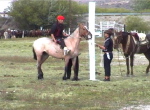 Rio Mayo Festival 3