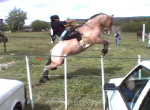 Rio Mayo Festival 4