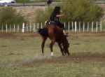 Rio Mayo Festival 5