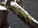 Laguna Escondida 2