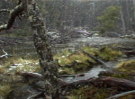 Rio Claro
