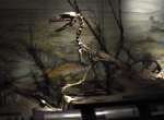 Museum Trelew