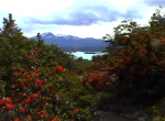 Paso los Cuernos