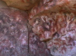 Cueva de las Manos2