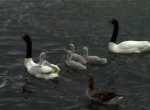 in Puerto Natales