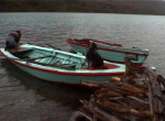 Puerto Bertran2