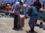 Muschelhandel bei Ancud1