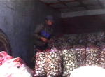 Muschelhandel bei Ancud2