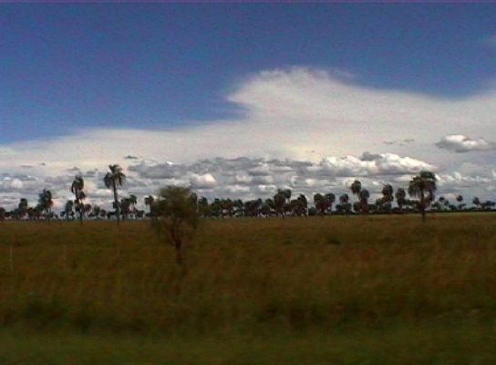 Esteros del Iberá3