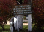 Conceptión, Esteros del Iberá2