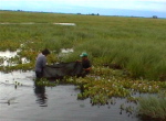 Esteros del Iberá1