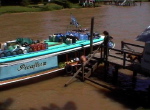 Tigre1