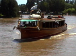 Tigre2