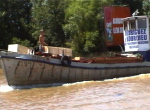 Tigre4