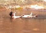leichter als Wasser
