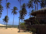 Strandhäuser