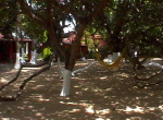 Baumgarten