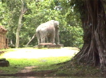 Angkor 1