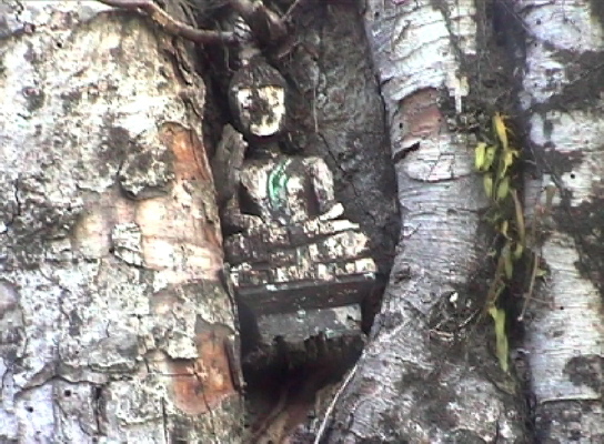 MuangSing2