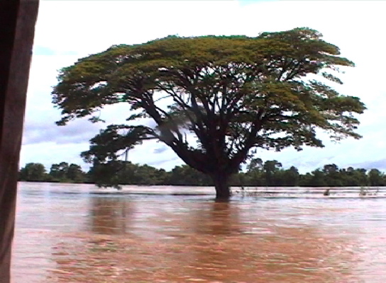SiPhanDon1