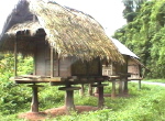 MuangSing