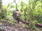 Hongsa8