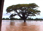 SiPhanDon1
