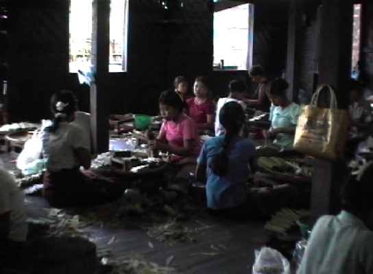 BagoCherootproduktion2