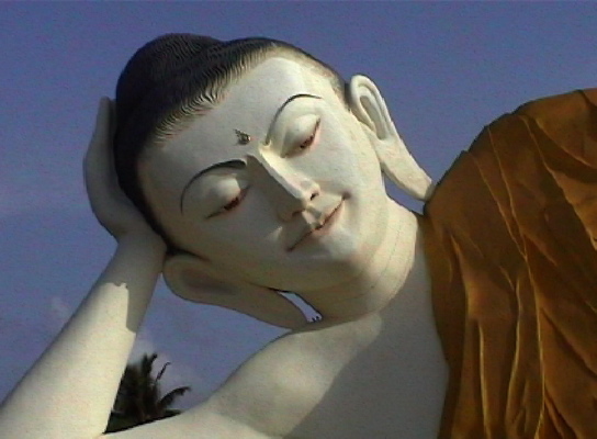 BagoNochEinBuddah