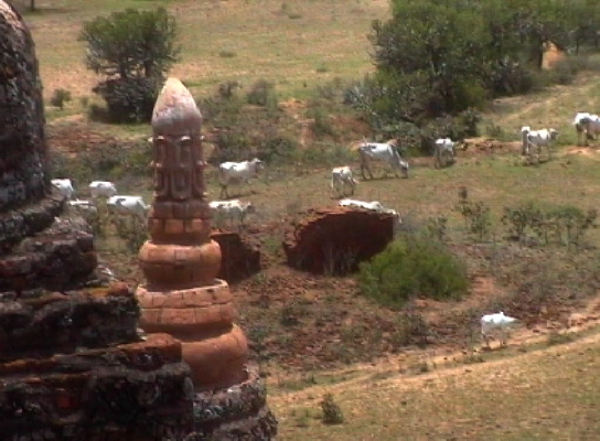 Bagan8