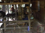 BagoLonghiweberin