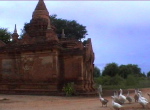 Bagan1