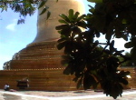 Bagan6