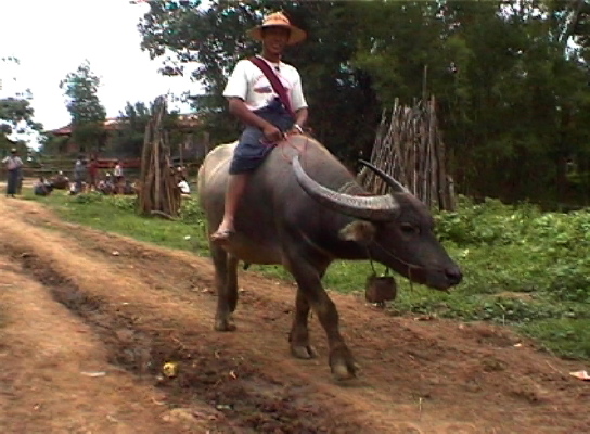 Inle8