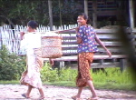 Indawgyi3