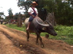 Inle8