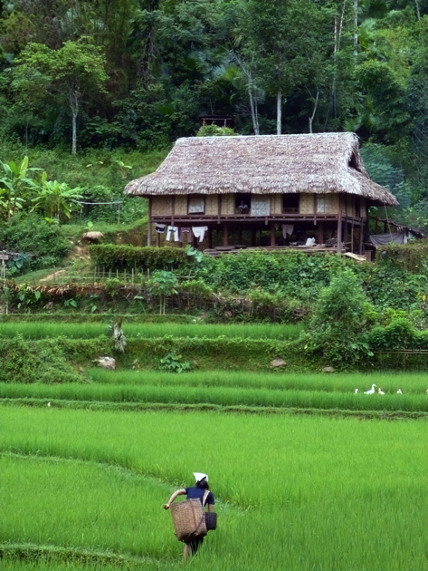 Paradies