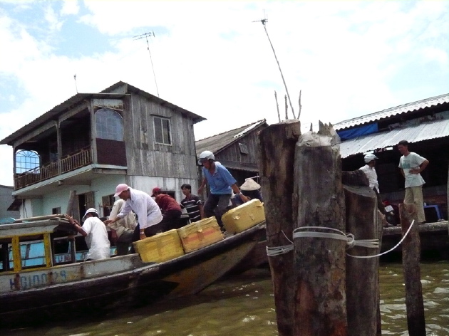 Mekongdelta