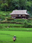 Paradies