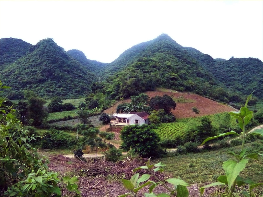Paradies 1