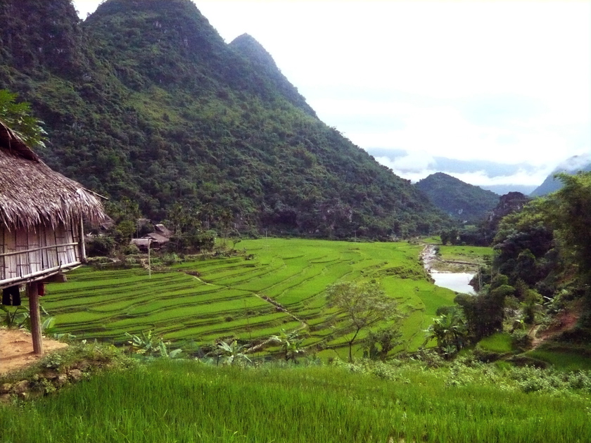 im Pu Luong NP 7