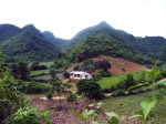 Paradies 1
