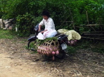 Viehtransport