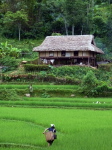 Paradies 5