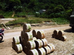 Bambuswirtschaft 2