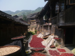 Longji 2