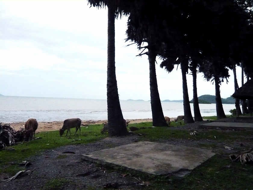 Hong Chong 2