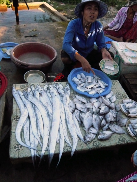 Bei Hoi An 5