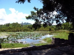 Hue Lang Gia Long 3