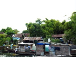 Hue Flussbewohner 1